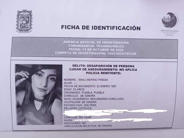 181203881 210100340643804 2743119703640555597 n