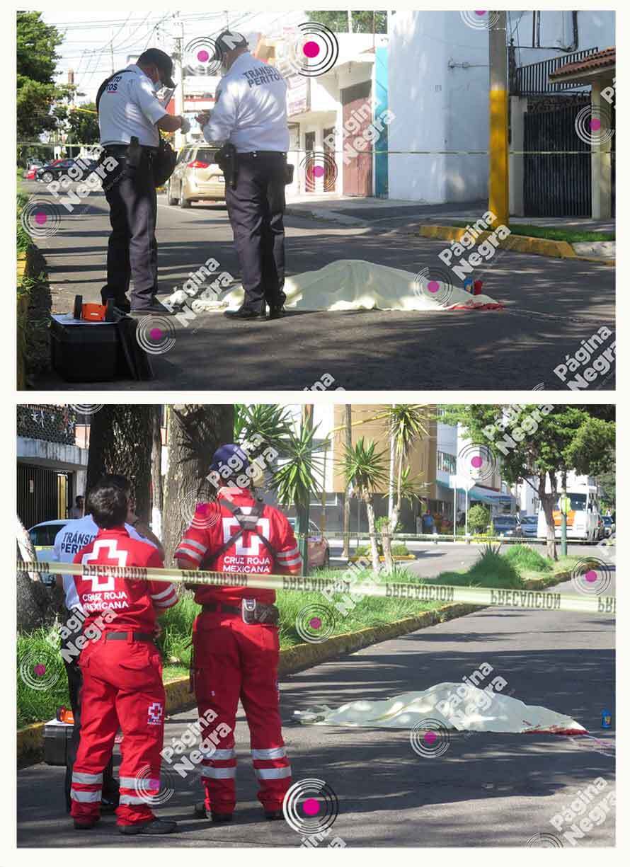 1Atropellada en Prados Agua Azul