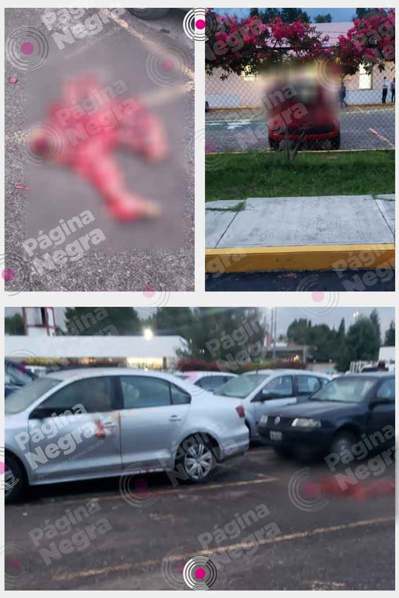 236565631 529017025036568 4970684993766366968 n