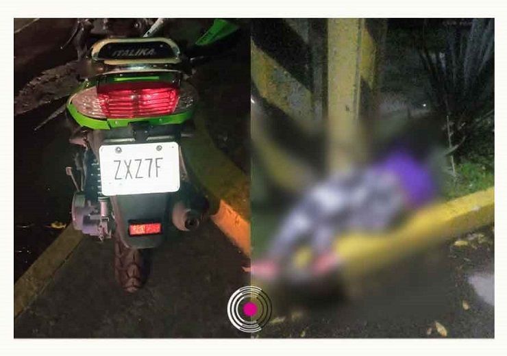 241853726