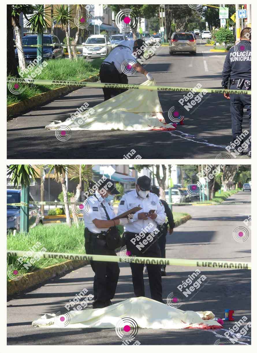 2Atropellada en Prados Agua Azul