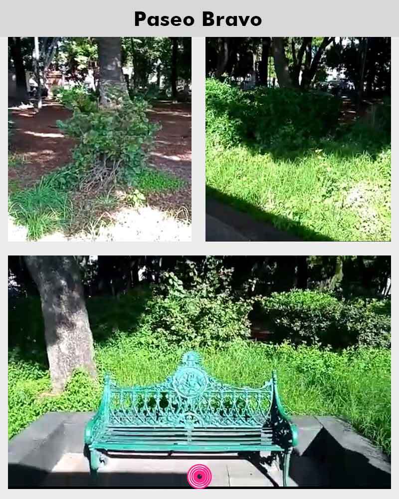 5Paseo_Bravo_1.jpg