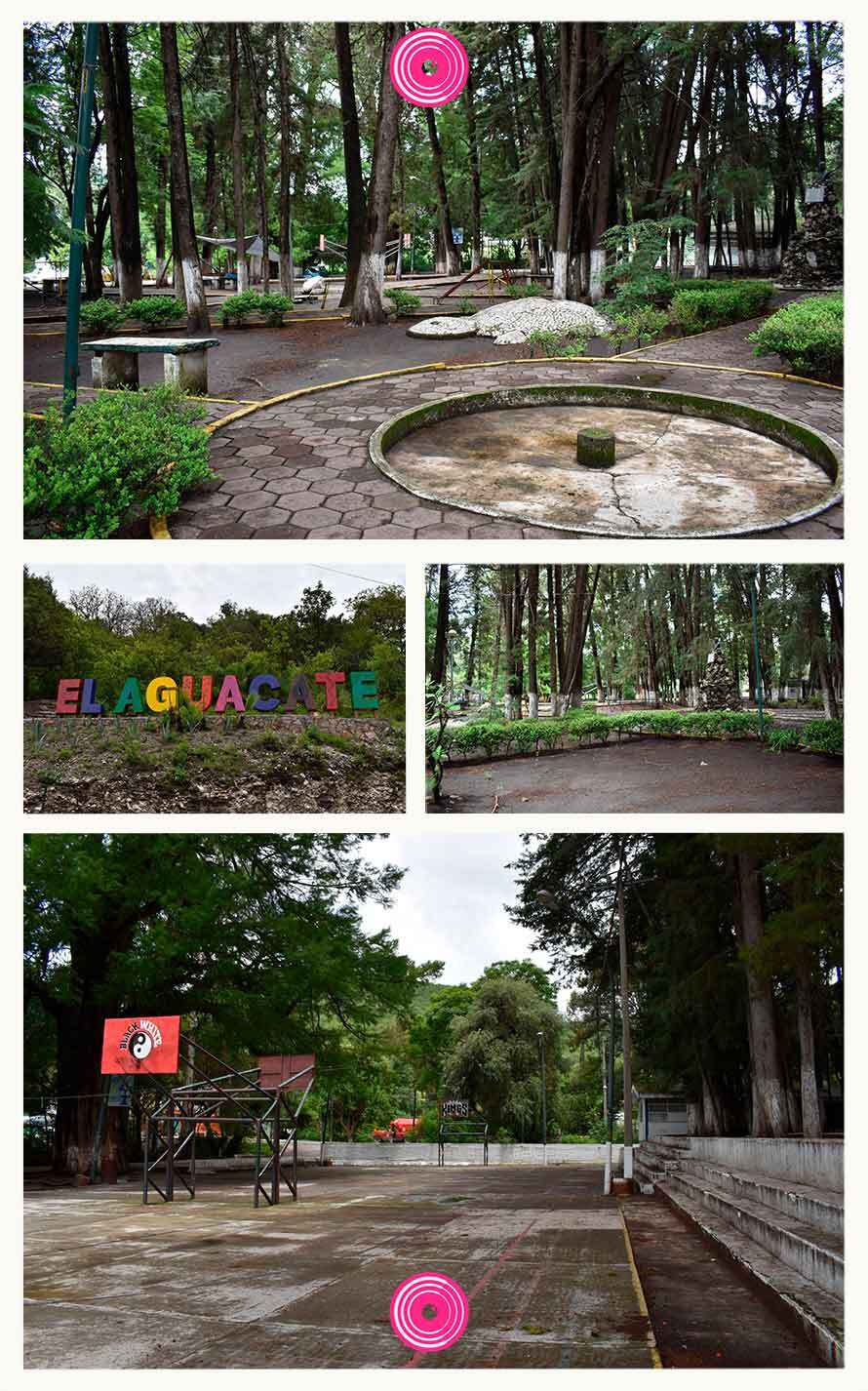 Aguacate-2.jpg