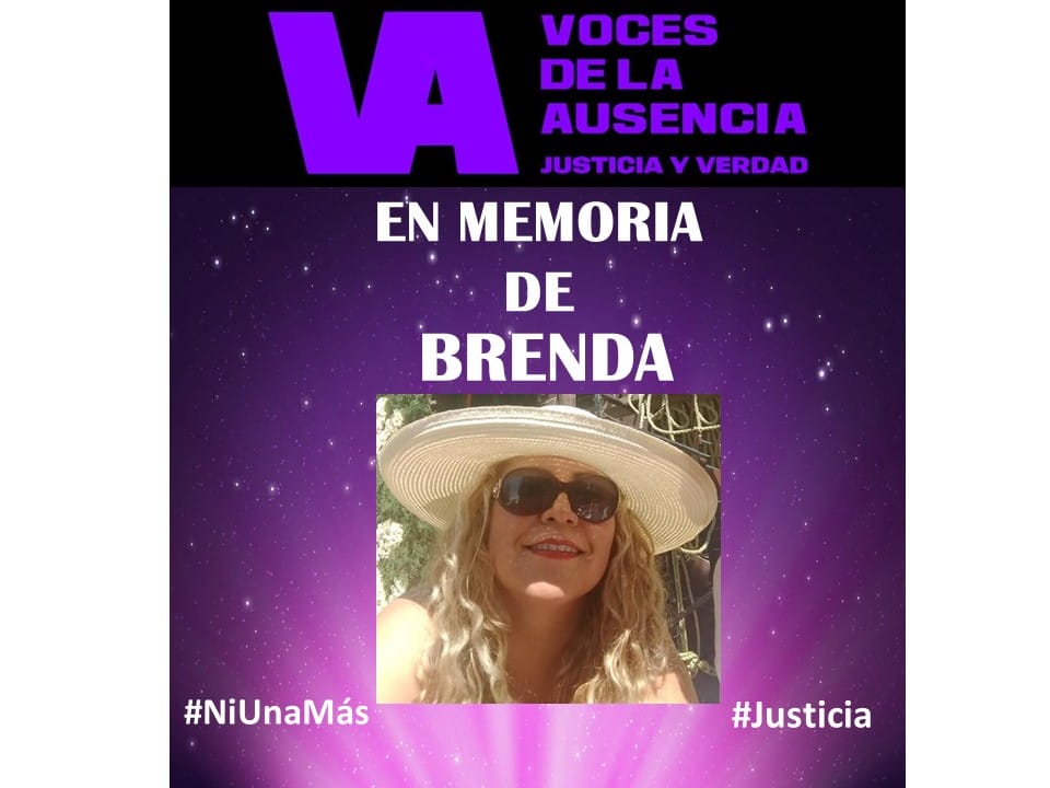 BRENDA 2020