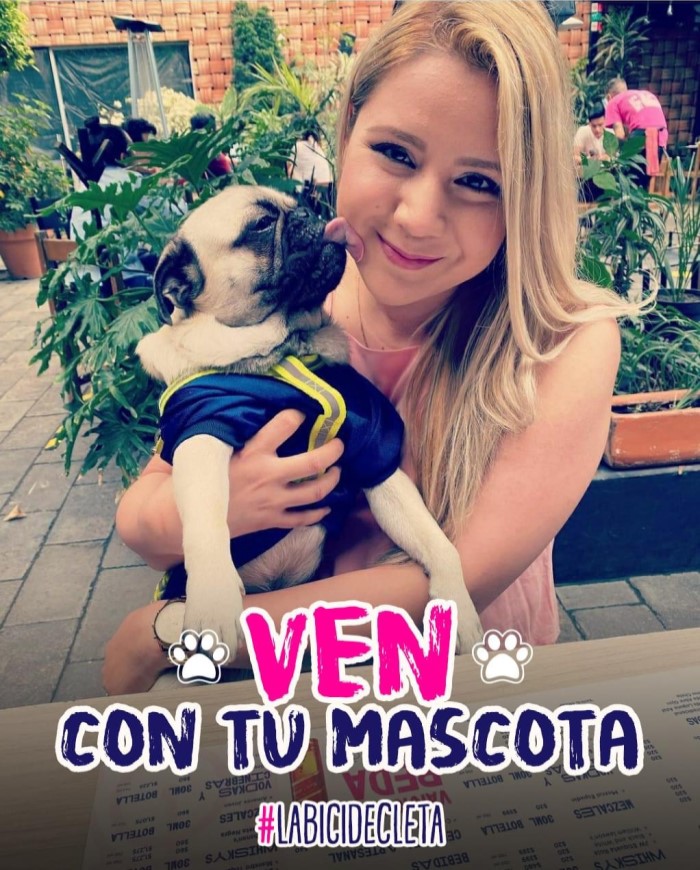 Cleta pet friendly