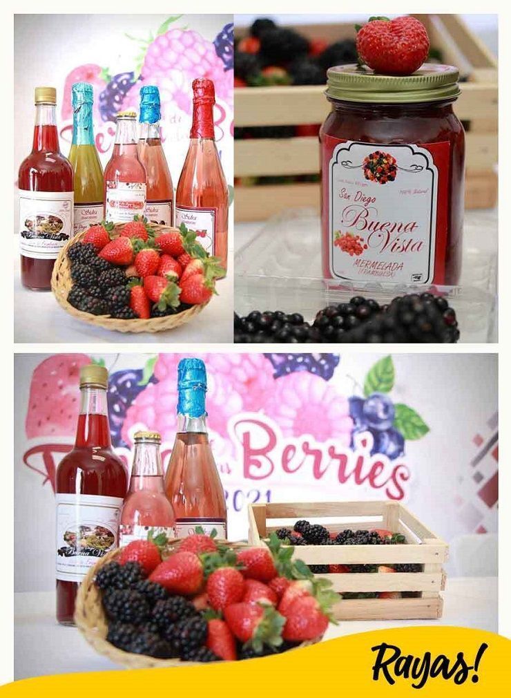 Feria Berries 2