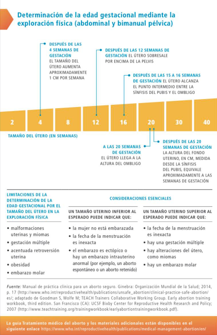Guia aborto OMS 2