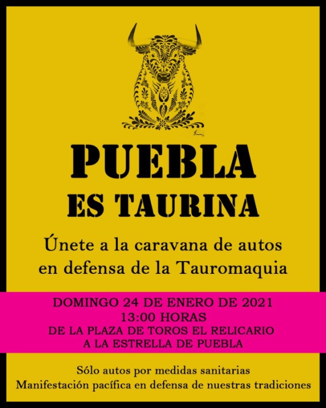 Puebla Taurina
