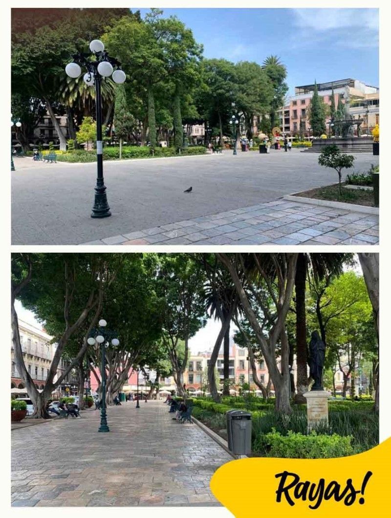 Top5 Zocalo Puebla