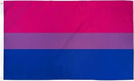 bandera.jpg