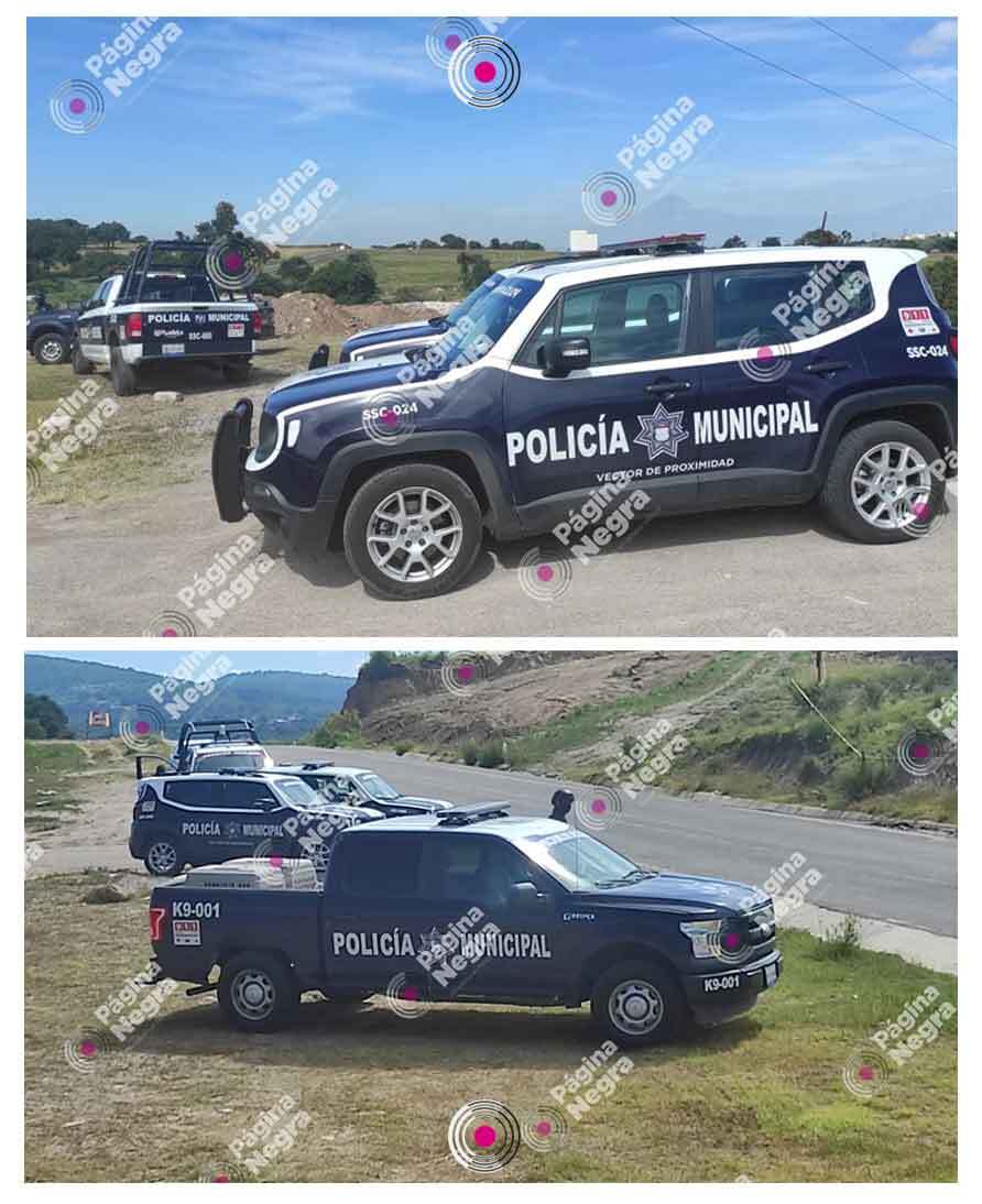 calcinados 1