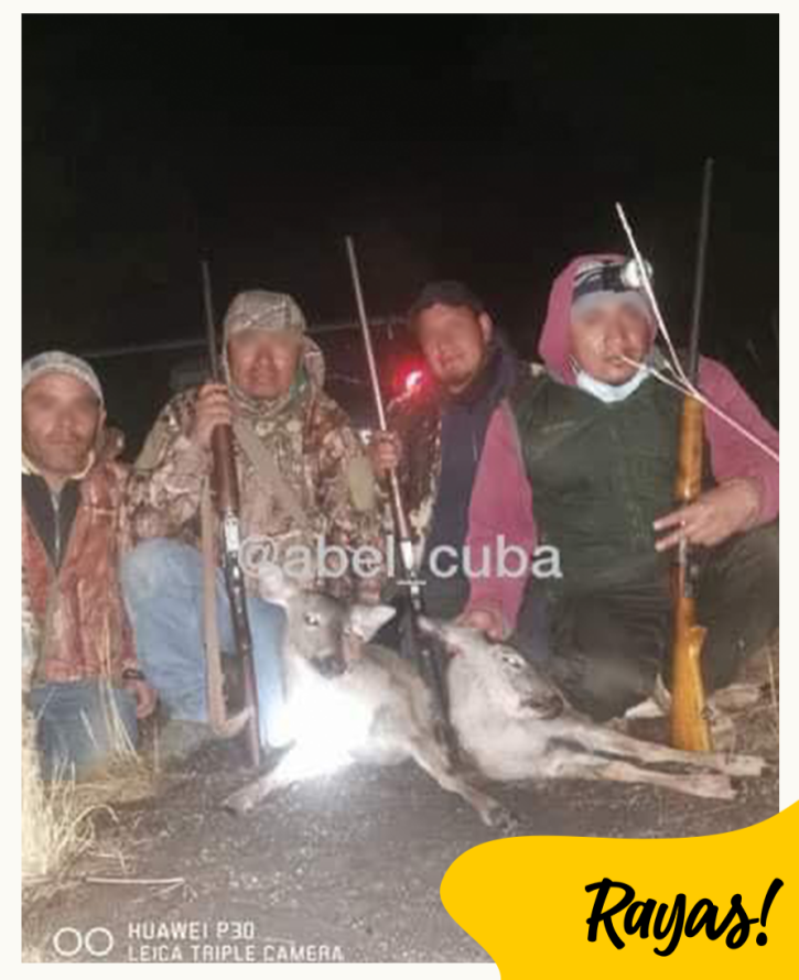 cazadores 2