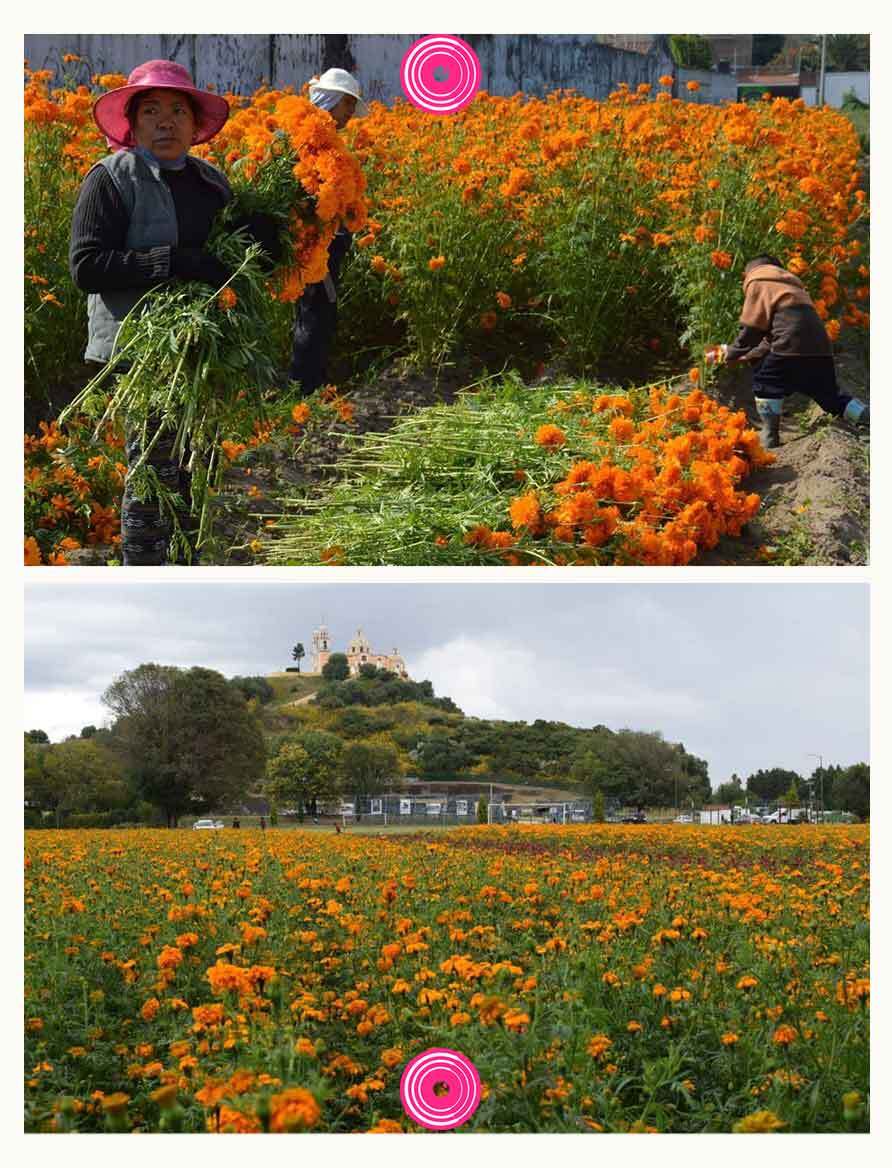 cempas chilt cholula 2