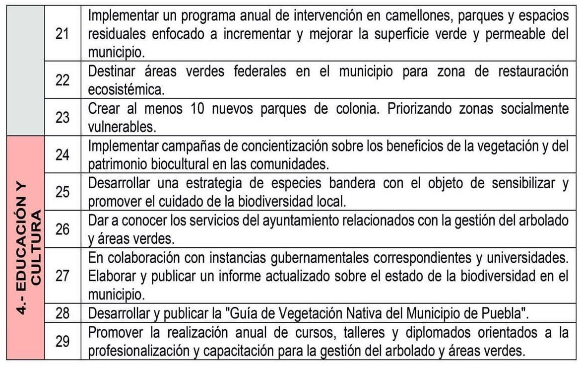 actualizar los lineamientos municipales para la poda y el manejo del arbolado; desarrollar y publicar el “Manual de diseño y gestión del arbolado, áreas verdes y ecosistemas naturales del municipio”; promover acciones enfocadas a la apropiación y sentido de pertenencia mediante actividades ecológicas y de convivencia en barrios y colonias de la ciudad, entre otras.
