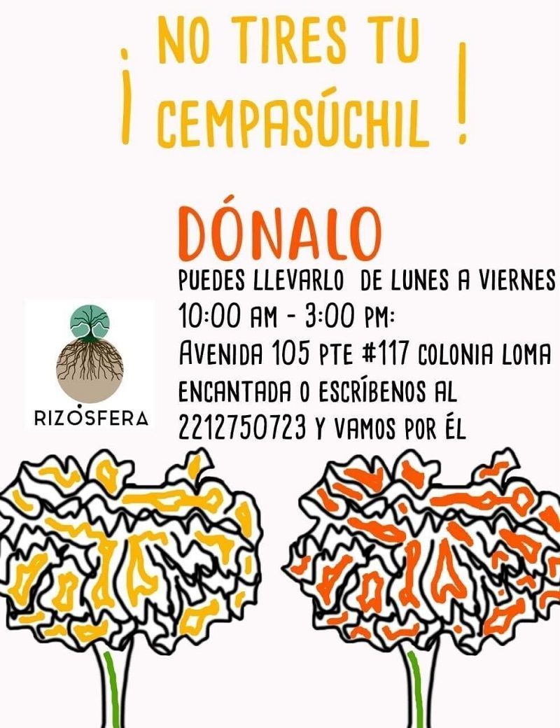 dona Cempasuchil 2