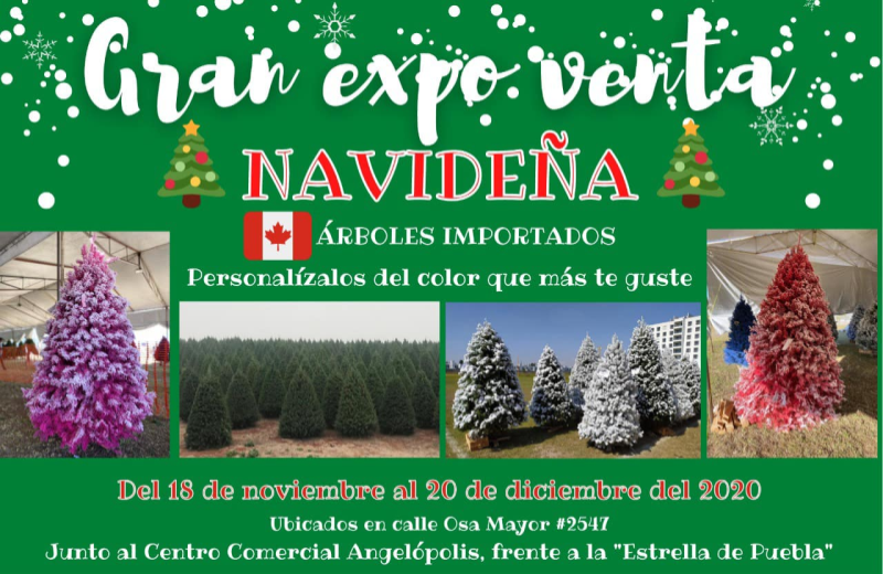 expo venta navidena