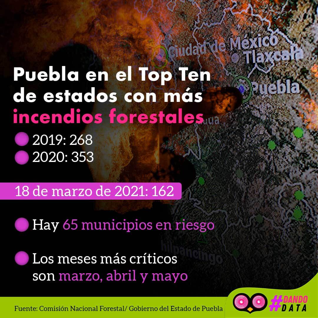 fichaincendios