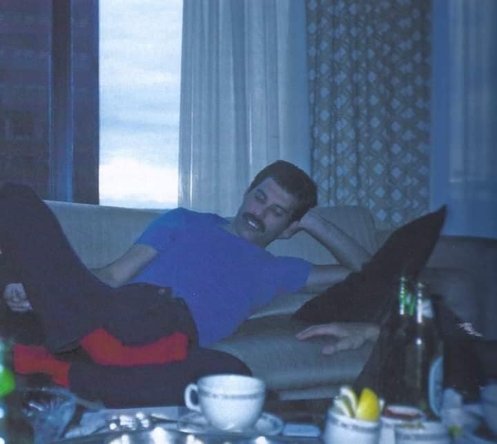 fredy_7.jpg