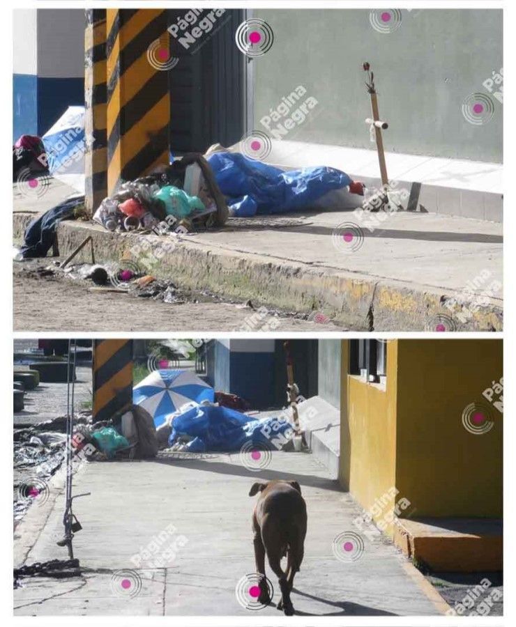 indigente Mex68 2