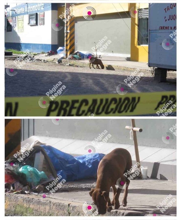indigente Mex68 3