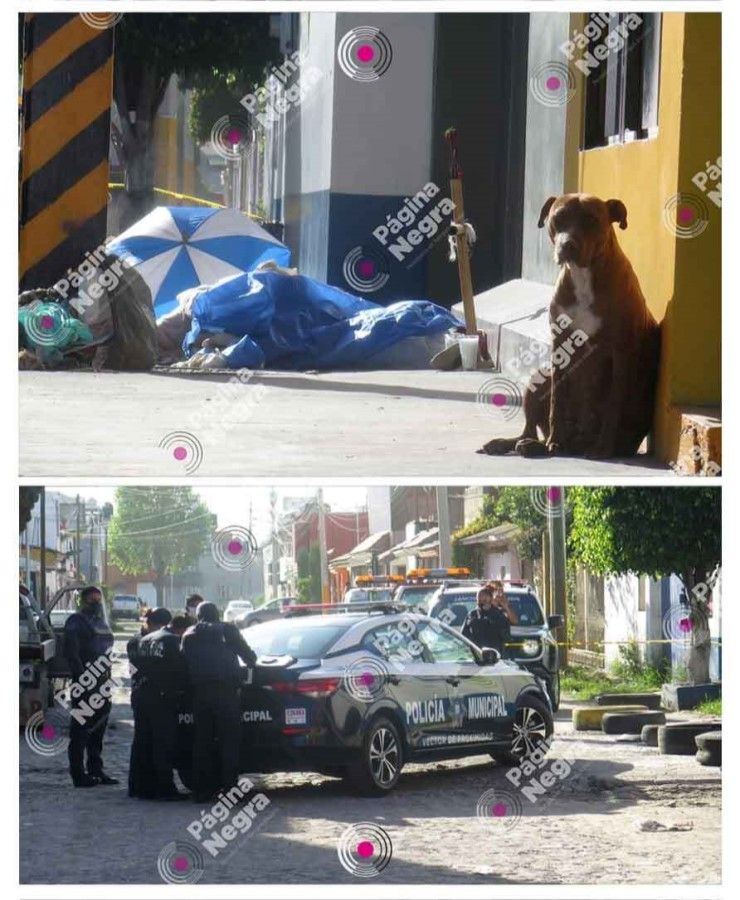 indigente Mex68 4