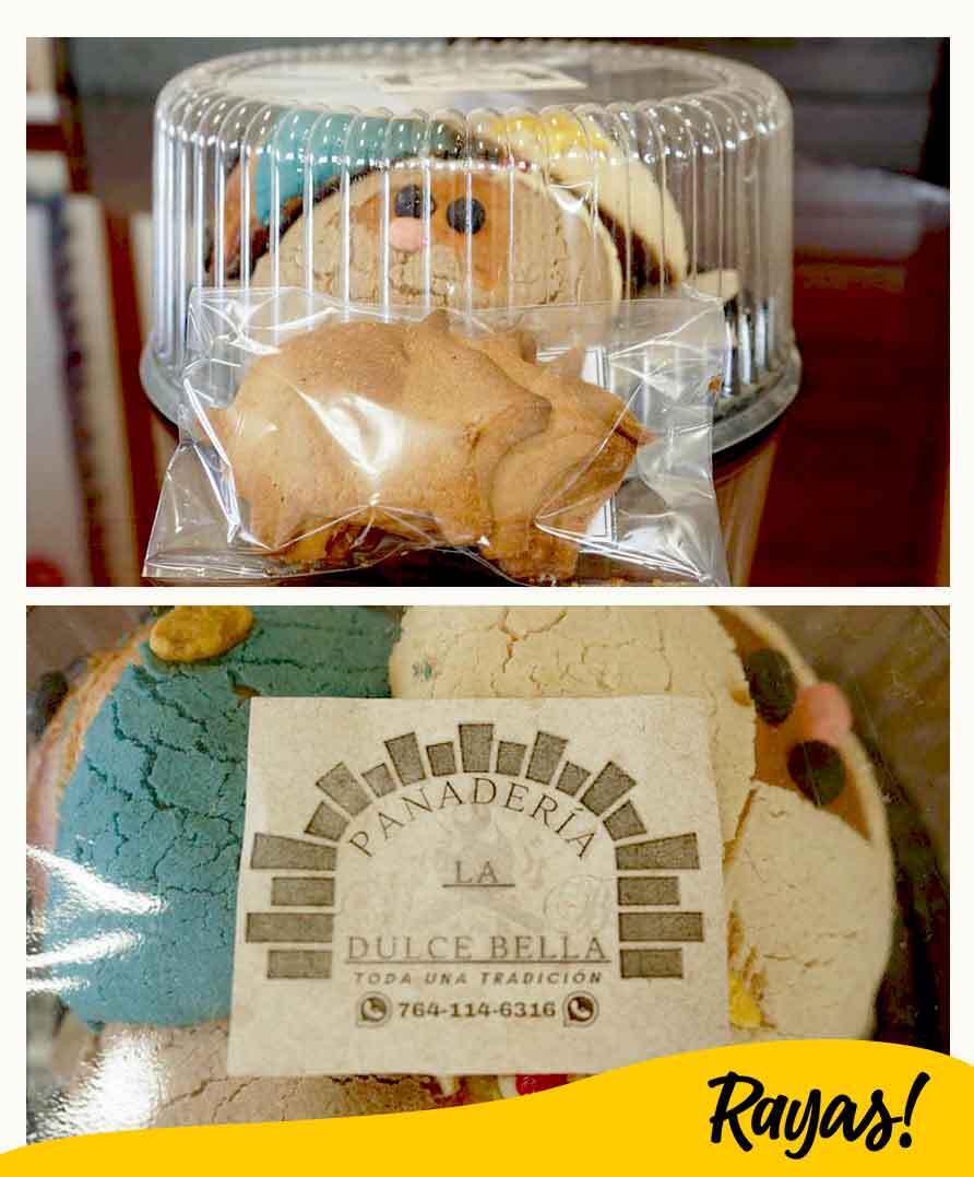 int-concha-de-reyes-magos-puebla.jpg