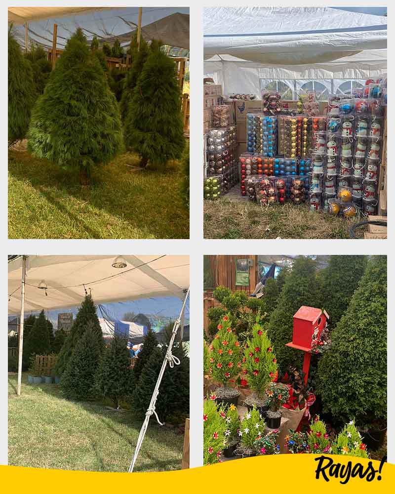 interiores_ARBOL_NAVIDAD_ESFERAS.jpg