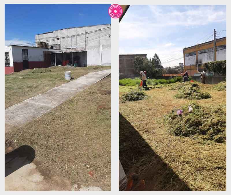 interiores_baños_escuela_puebla.jpg