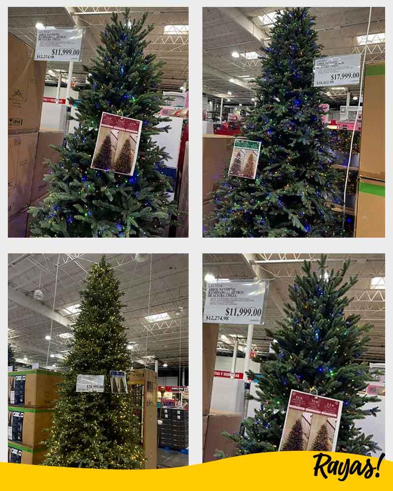 interiores_costos_arbol_navidad_-_copia.jpg