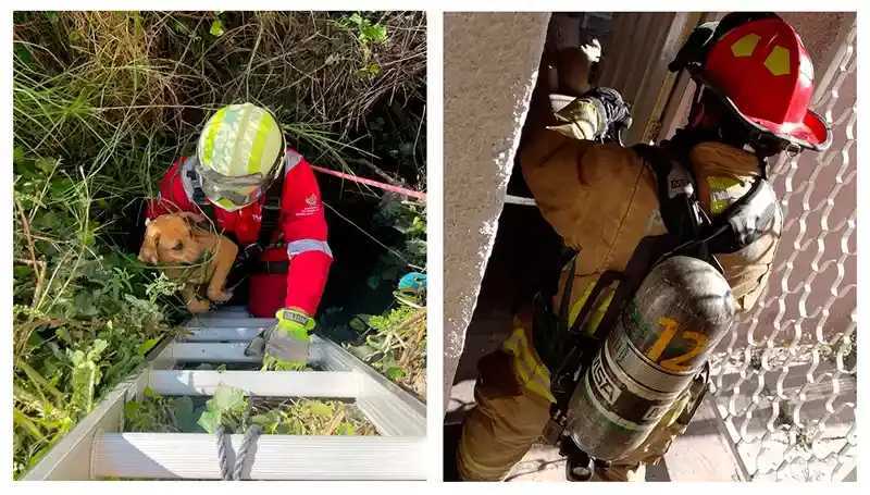 interiores servicios emergencia