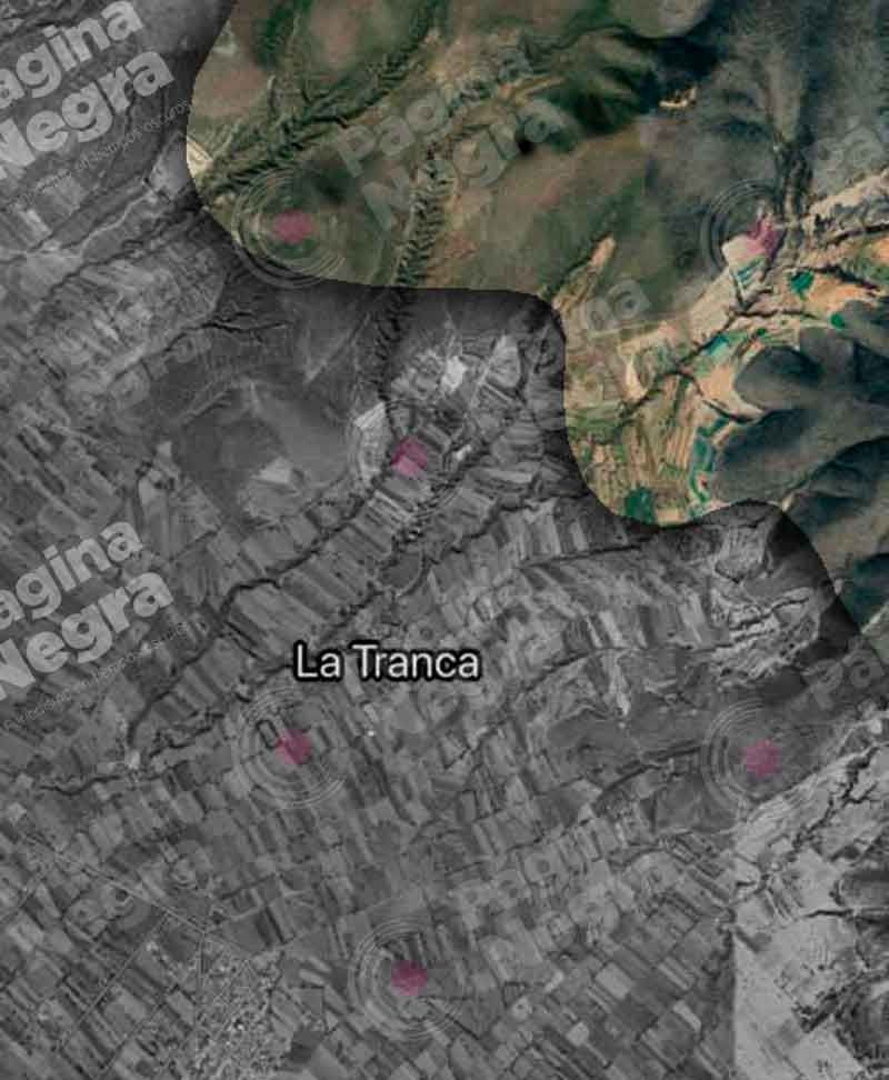 La zona donde se realizó la tala se encuentra en la loma de la Cruz Blanca.