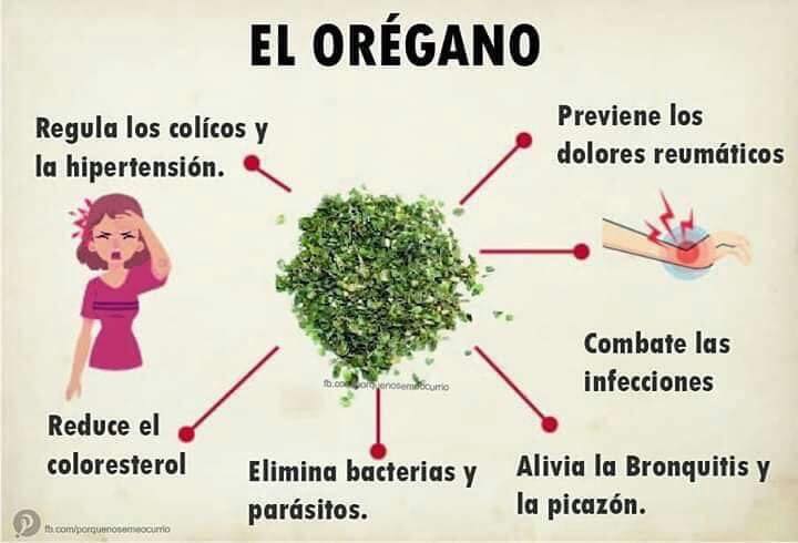 oregano.jpg