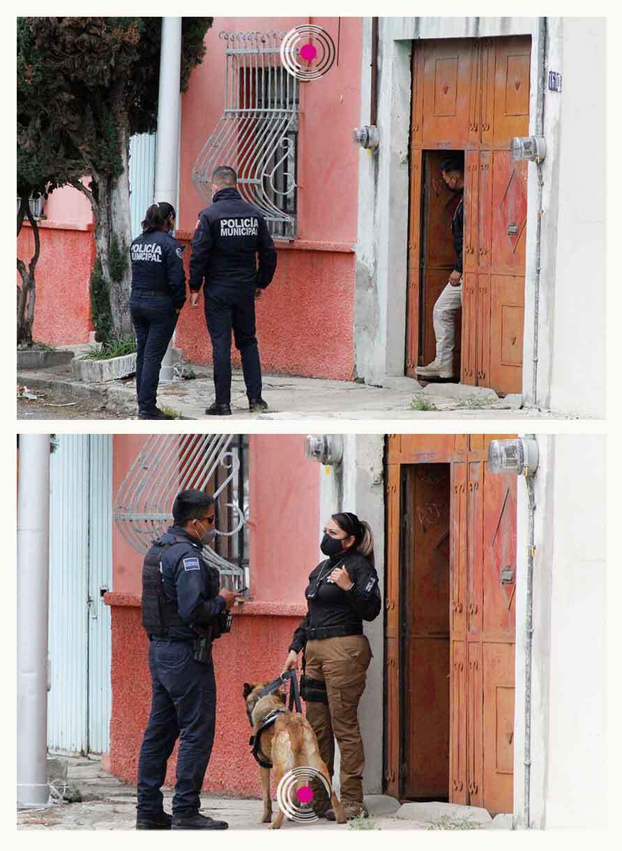 osamenta puebla int