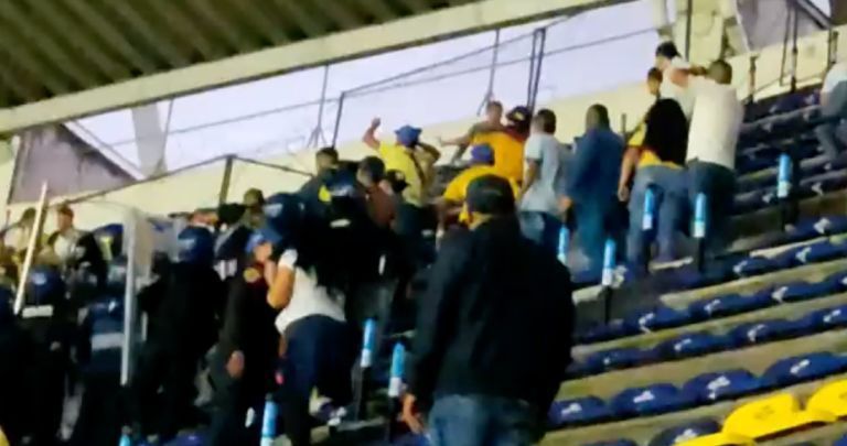 pumas disturbios
