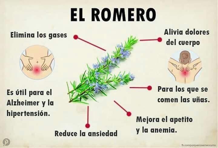 romero.jpg