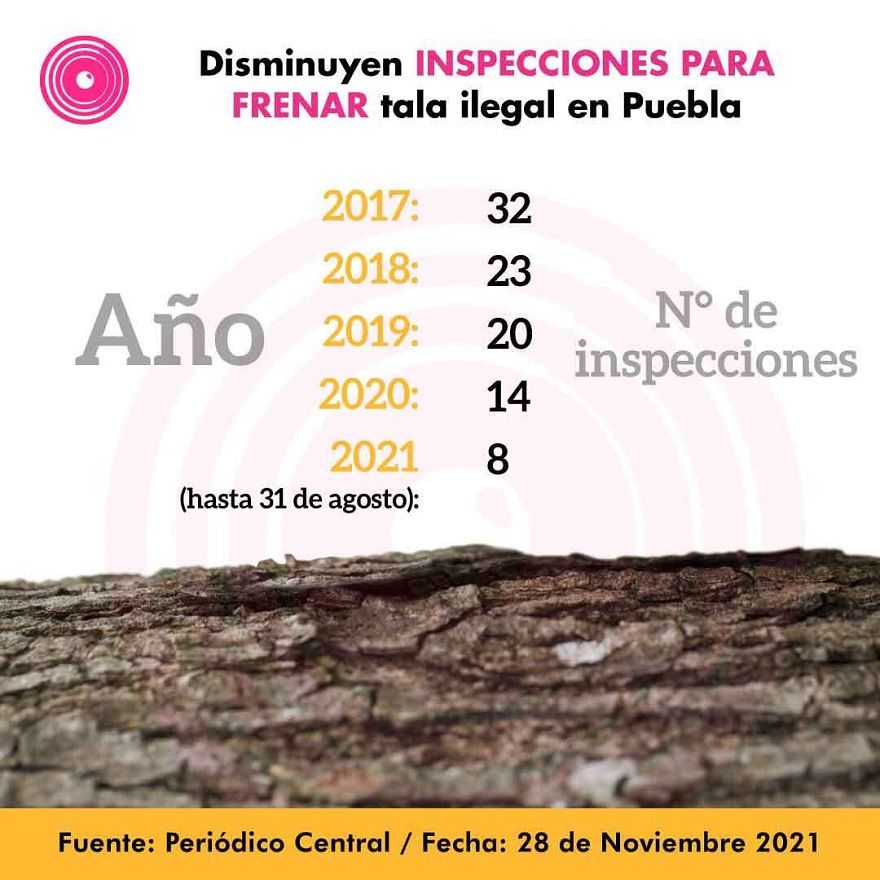 tala inspeccion