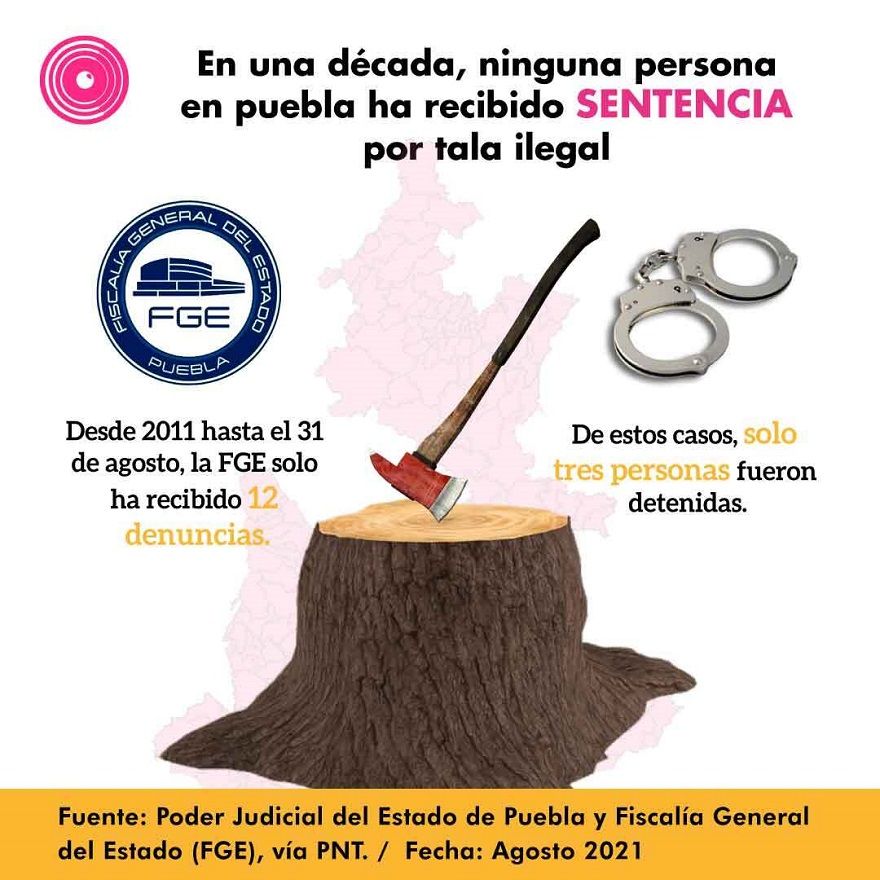 tala sentencias