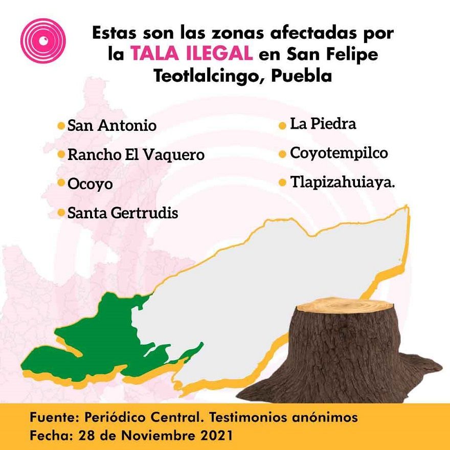 tala zonas afectadas