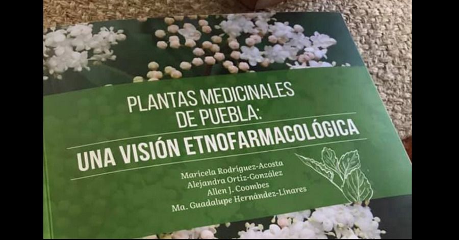 Jard&iacute;n Bot&aacute;nico Universitario publica obra sobre plantas medicinales, su uso para el alivio de enfermedades y la preservaci&oacute;n de la salud