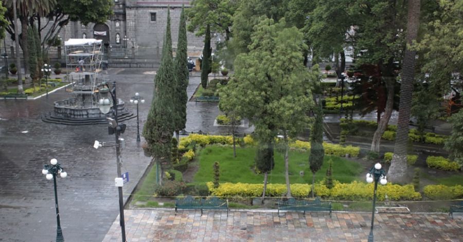 La investigaci&oacute;n se dar&aacute; a conocer entre septiembre y octubre