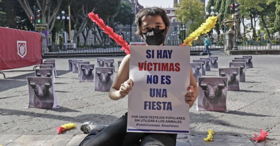 Se manifiestan a favor de prohibir las corridas de toros en Puebla