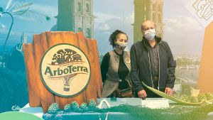 Arboterra presenta “Experience”, un espectáculo nocturno de video mapping