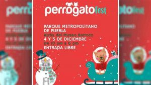 Regresa el Perro Gato Fest a Puebla ¡Lleva a tus peludos!