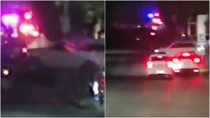 Estos son los 25 autos de lujo que le decomisaron al CJNG en Zapopan