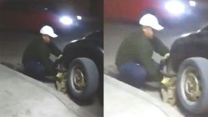 &iexcl;Desalmado! Tira a perrito en una barranca de San Jer&oacute;nimo; vecinos exigen castigo