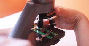 Con un microscopio fue posible captar la imagen de la variante Delta de la covid.