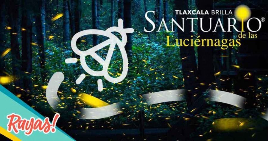 El Santuario de las Luciérnagas en Tlaxcala: centros de avistamiento,  tours, fechas y más