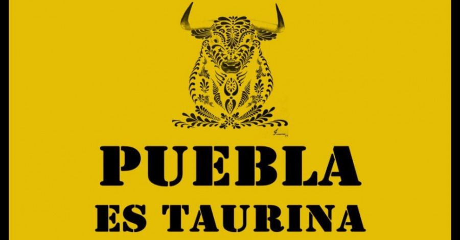 Llaman a manifestarse en caravana para defender las corridas de toros en Puebla