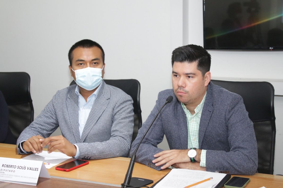 Comisi&oacute;n de la LXI Legislatura aprueba exhorto para denunciar delitos por tala clandestina