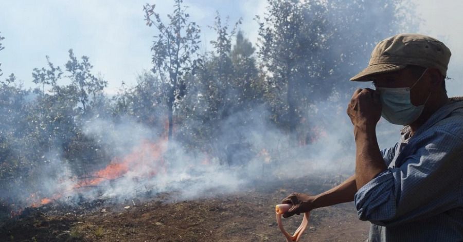 Advierten de una “temporada crítica” de incendios forestales en México por el fenómeno de “La Niña”